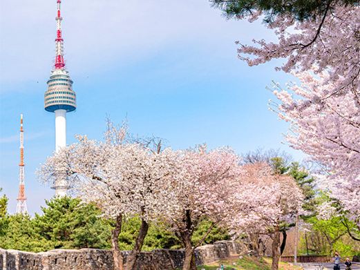 韓國首爾明洞旅遊攻略|景點、一日遊安排、交通怎麼去