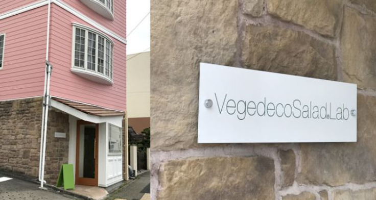 Vegedeco Salad cafe/蔬菜甜點