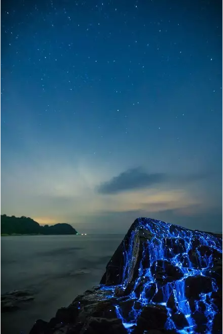岡山淚海
