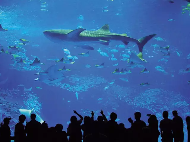 美麗海水族館