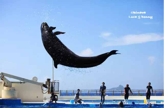 美麗海水族館