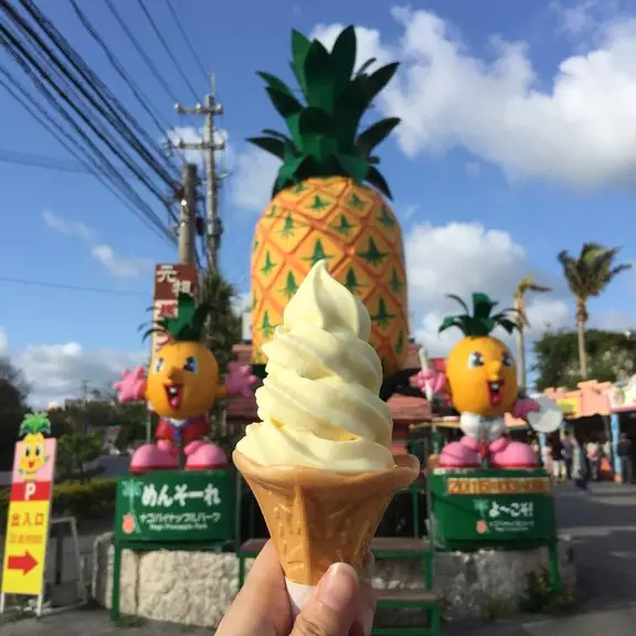 名護鳳梨園