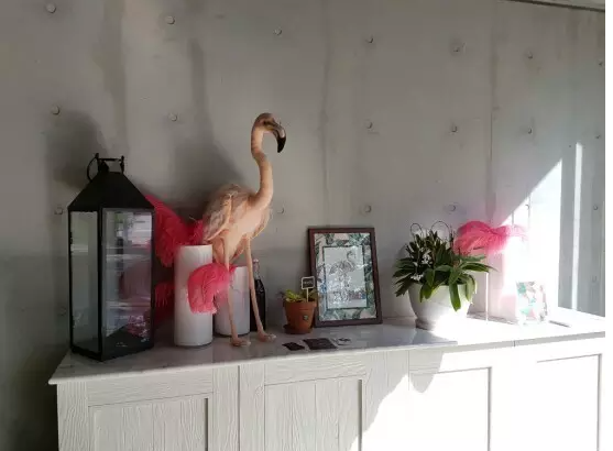 火烈鳥造型