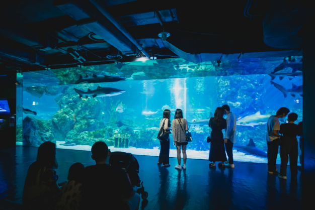 COEX水族館