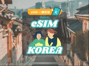 【50% OFF】韓國 eSIM 全韓國通用｜5G/4G無限流量｜KT SKT 支援保證穩定｜支援ChatGPT