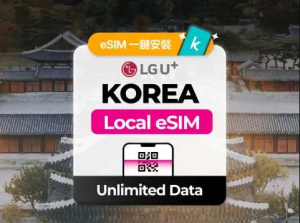 韓國 LG U+ 4G/5G 無限流量 eSIM｜提供韓國號碼(010) 進行通話/簡訊方案｜支援ChatGPT