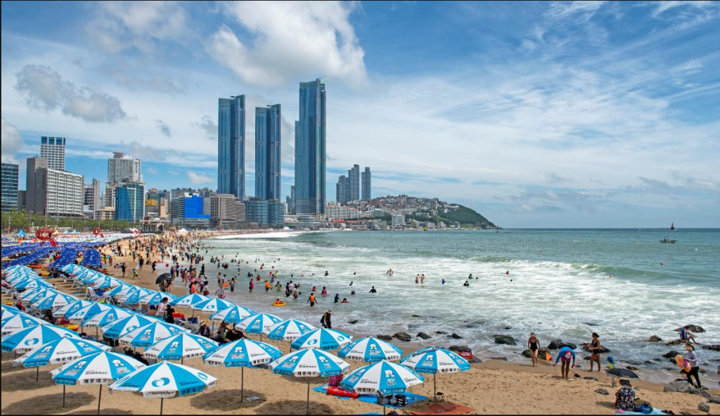 海水浴場