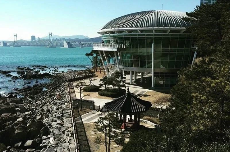 冬柏島