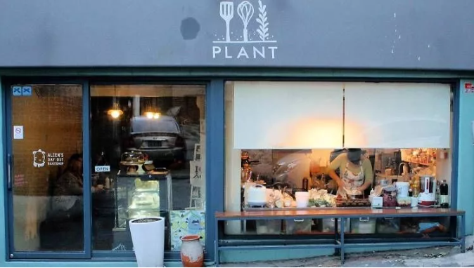 PLANT