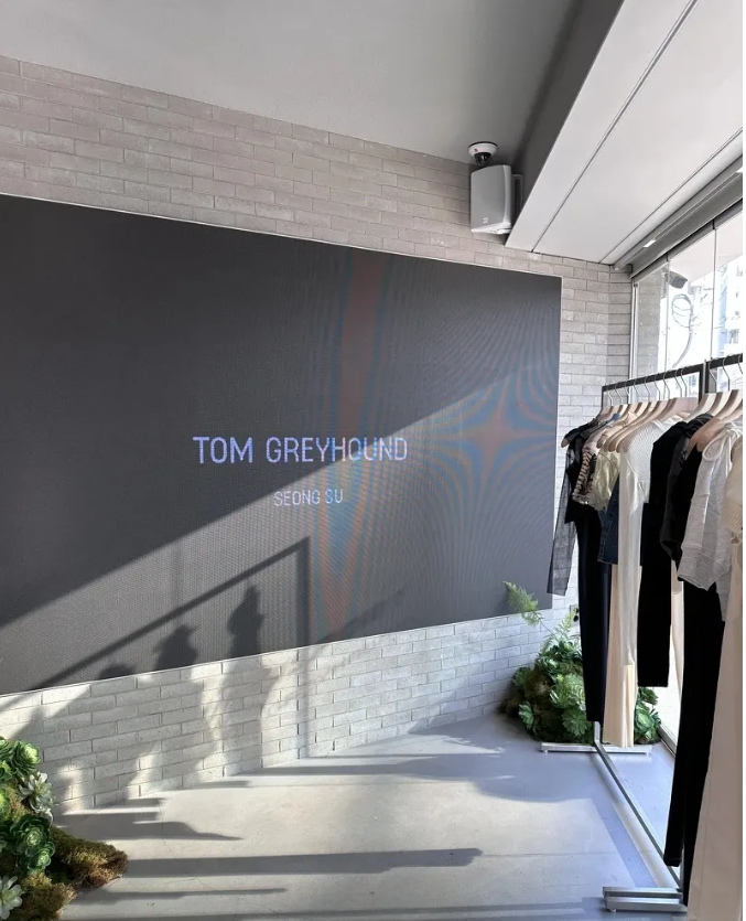 TOM GREYHOUND