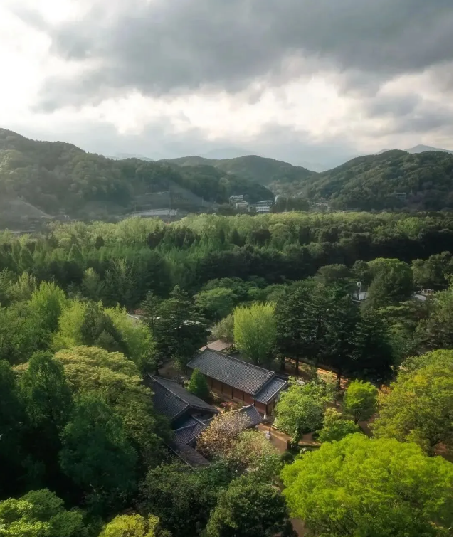 南怡島