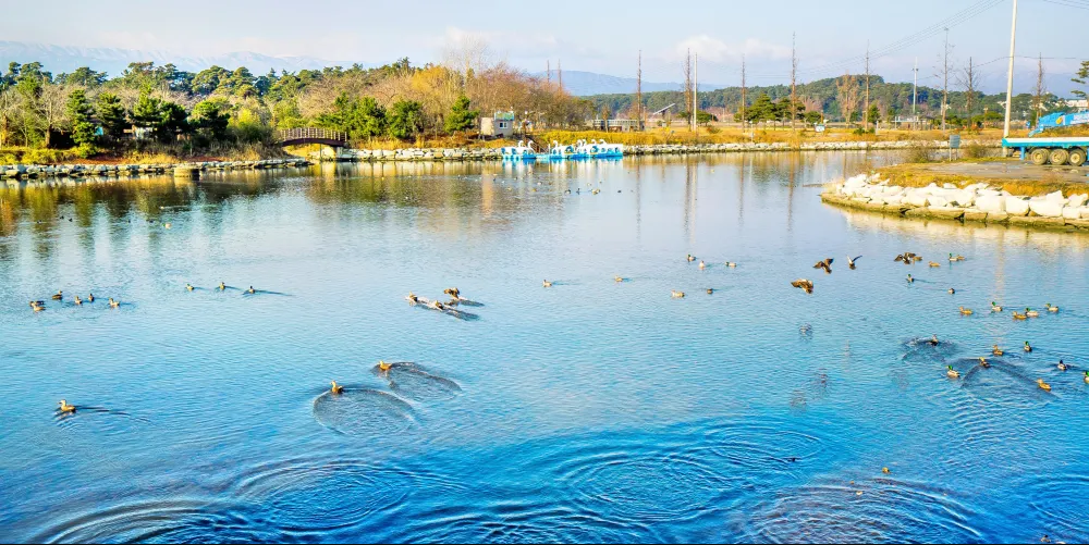 鏡浦湖(경포호)