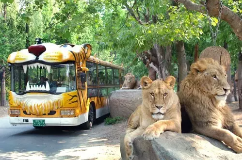 野生動物園