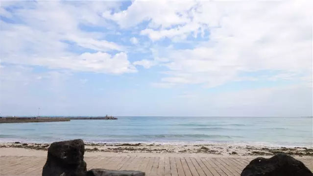 月汀里海岸(월정리해변)