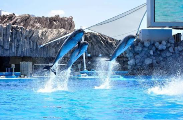 名古屋港水族館(なごやこうすいぞくかん)