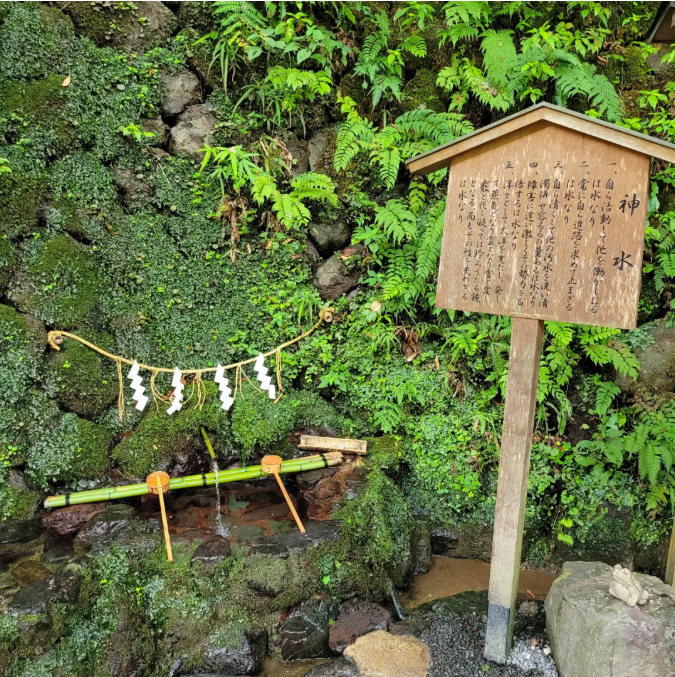 主祀水神