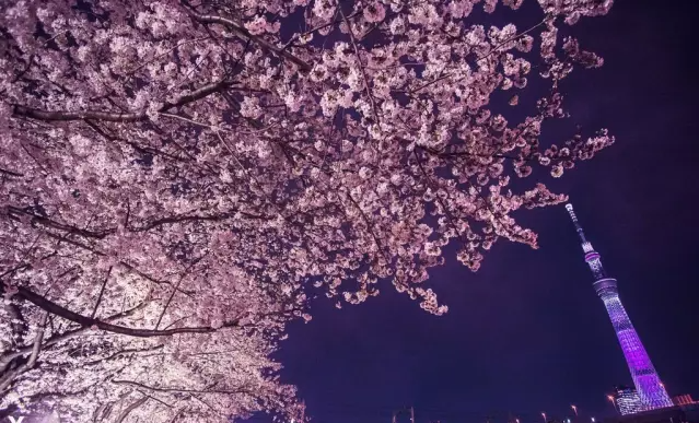 隅田公園