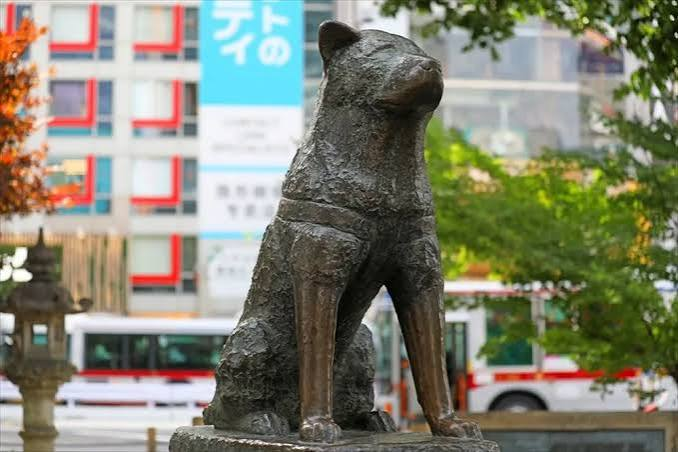 忠犬八公雕像