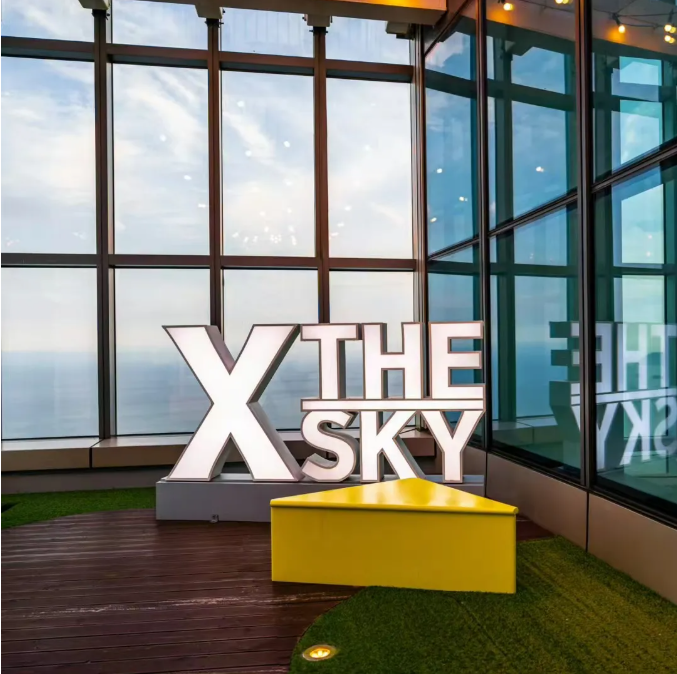 X the sky