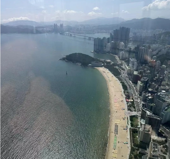 位於100層的觀景平台