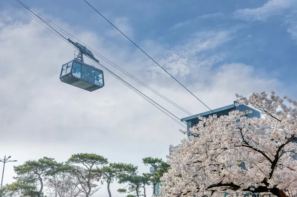 搭南山纜車去首爾塔